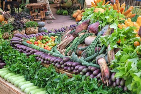 how to raise bahay kubo vegetables in your backyard